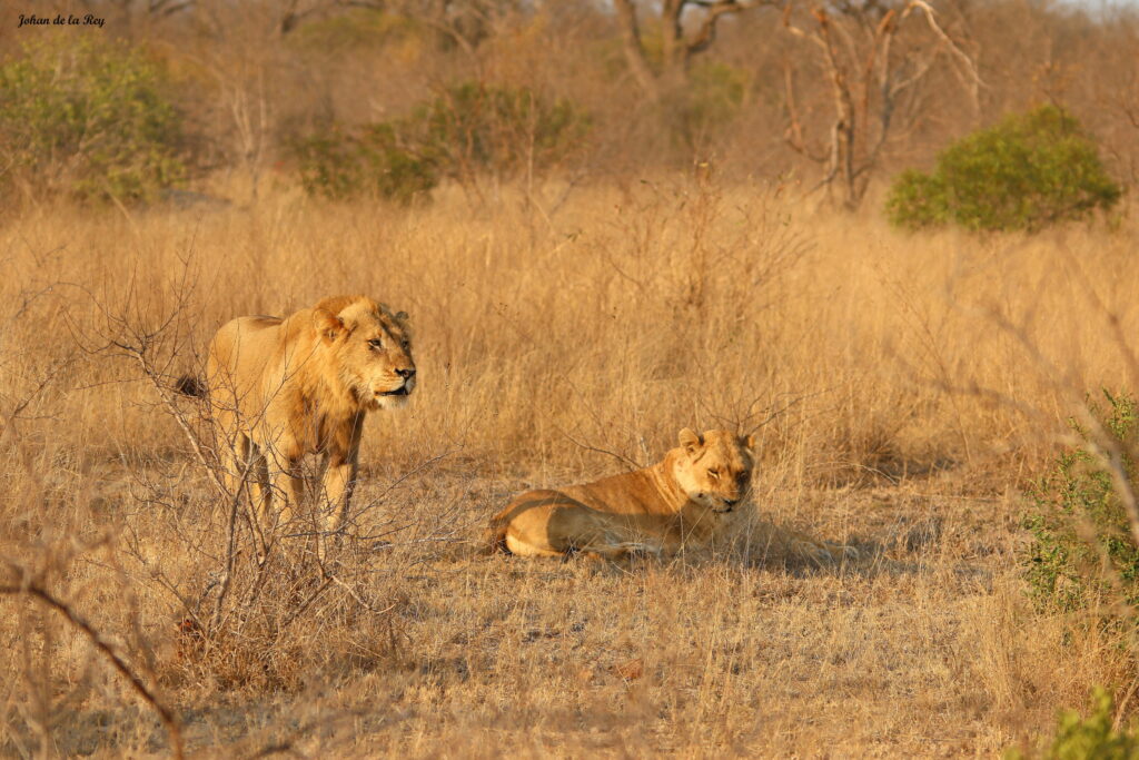 Kruger national park weather by month