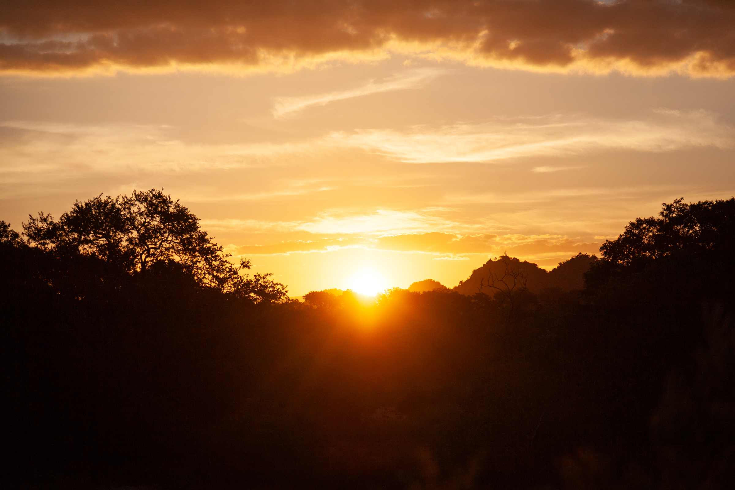 5 Things Nobody Tells You About Safari