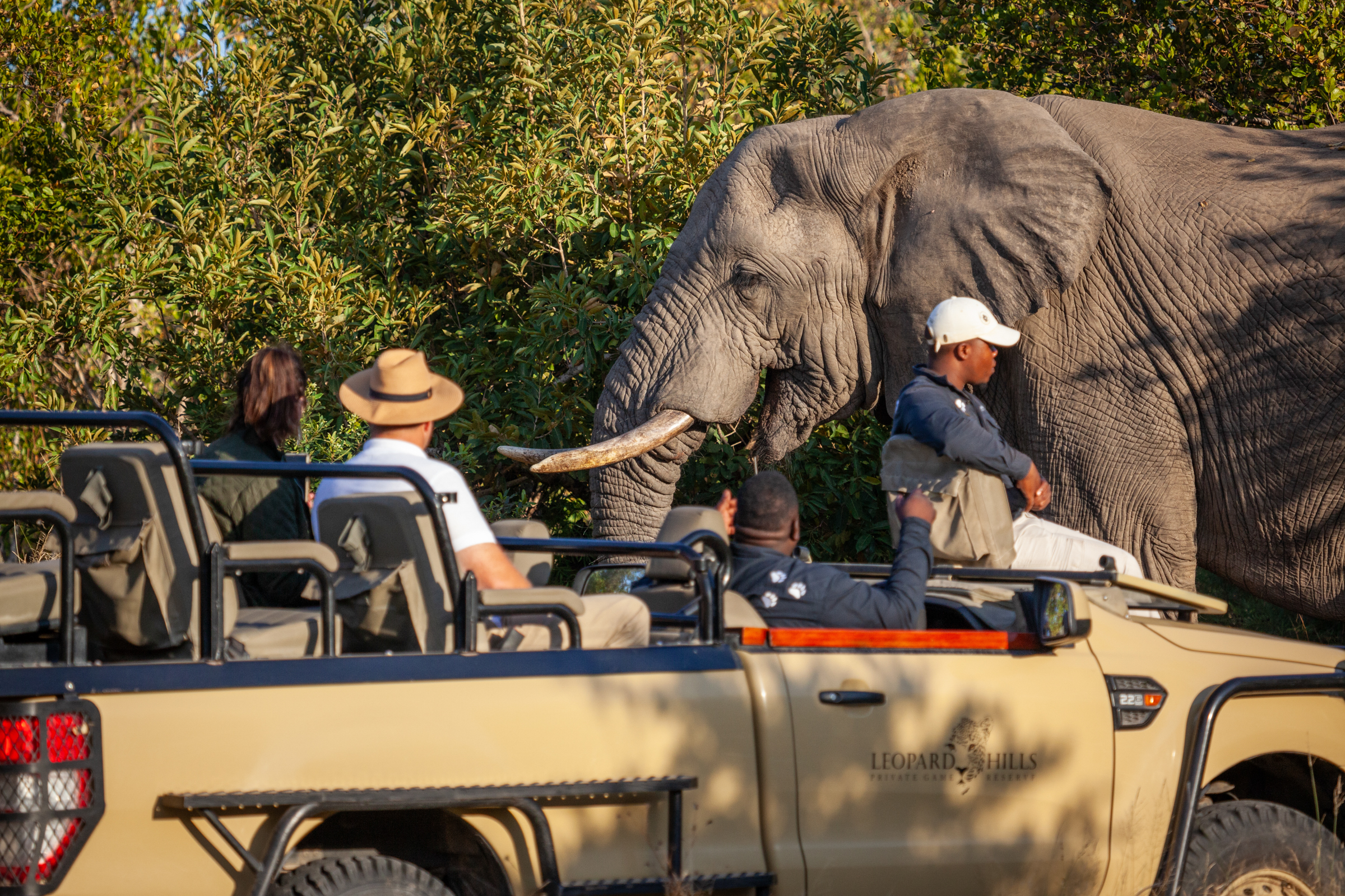 World Ranger Day: What Makes a Great Safari Guide?