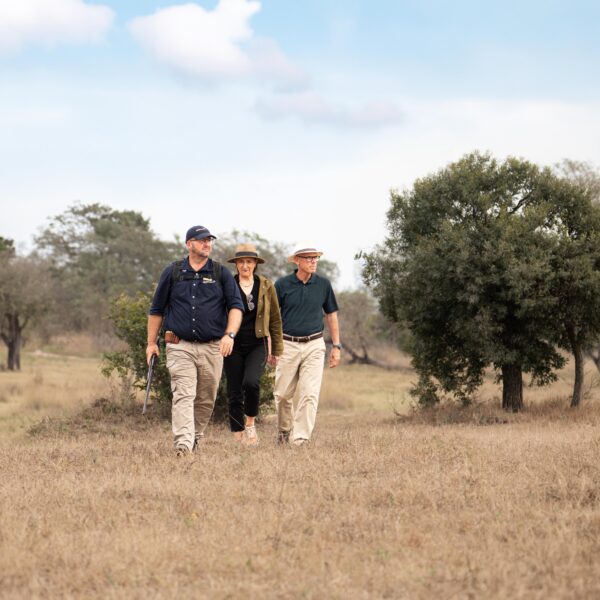 Trails Guide pointing out wildlife signs on foot in the Sabi Sand